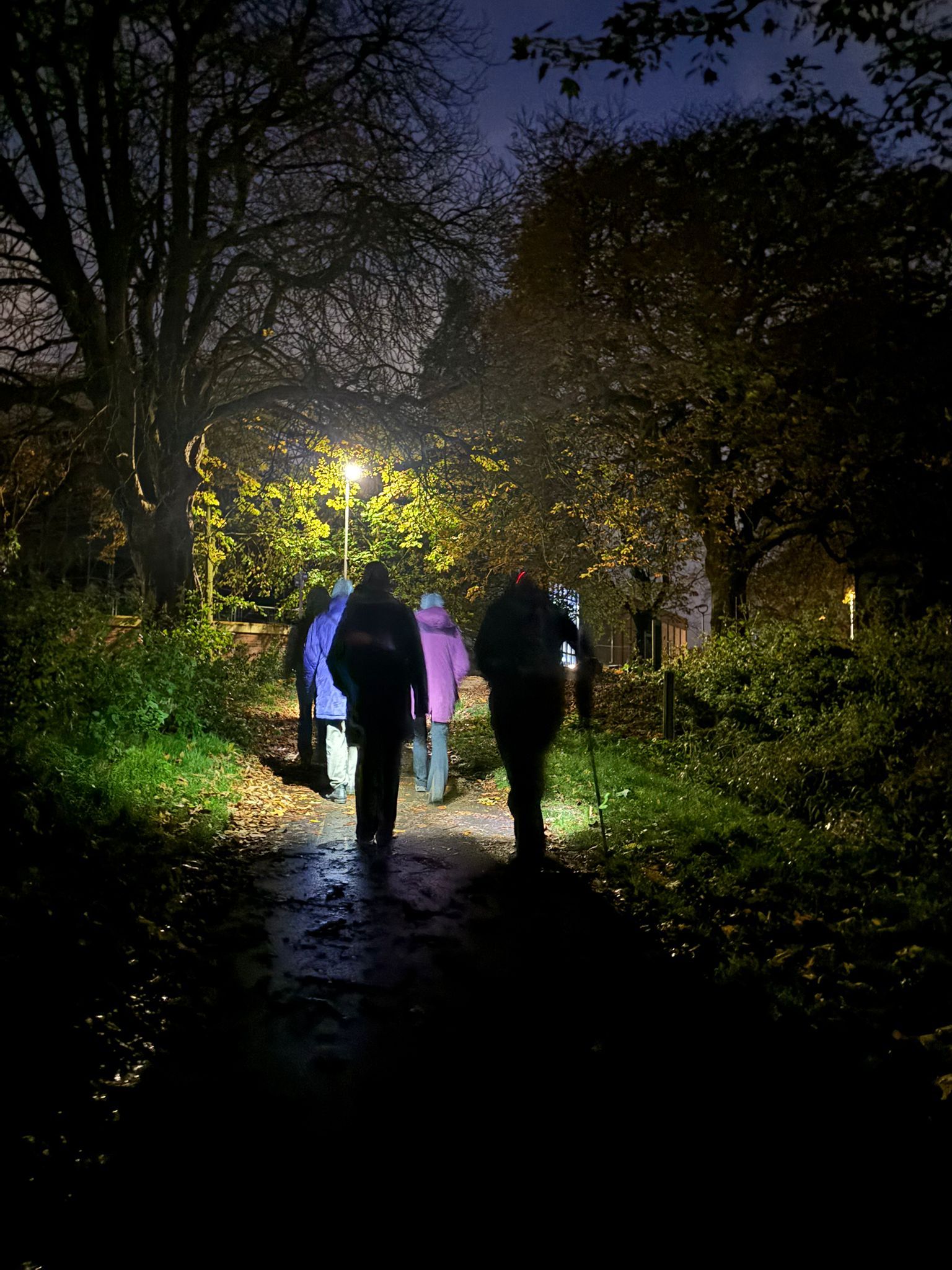 Group walking at night